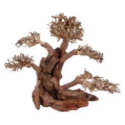XL Bonsai Baum Nr.12009 Wurzel Holz Aquarium Deko Aquascaping