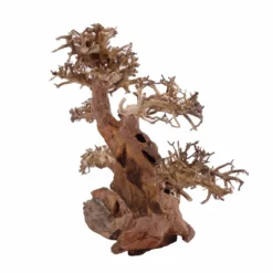 XL Bonsai Baum Nr.12009 Wurzel Holz Aquarium Deko Aquascaping -Haus Dekoration Verkaufsgeschäft XL Bonsai Baum Nr 12008 Wurzel Holz Aquarium Deko Aquascaping 12009 4 Kopie 26211