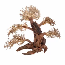 XL Bonsai Baum Nr.12011 Wurzel Holz Aquarium Deko Aquascaping 5 XL Bonsai Baum Nr.12011 Wurzel Holz Aquarium Deko Aquascaping -Haus Dekoration Verkaufsgeschäft XL Bonsai Baum Nr 12010 Wurzel Holz Aquarium Deko Aquascaping 12011 3 Kopie 26213