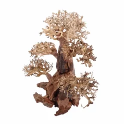 XL Bonsai Baum Nr.12011 Wurzel Holz Aquarium Deko Aquascaping 7 XL Bonsai Baum Nr.12011 Wurzel Holz Aquarium Deko Aquascaping -Haus Dekoration Verkaufsgeschäft XL Bonsai Baum Nr 12010 Wurzel Holz Aquarium Deko Aquascaping 12011 4 Kopie 26213