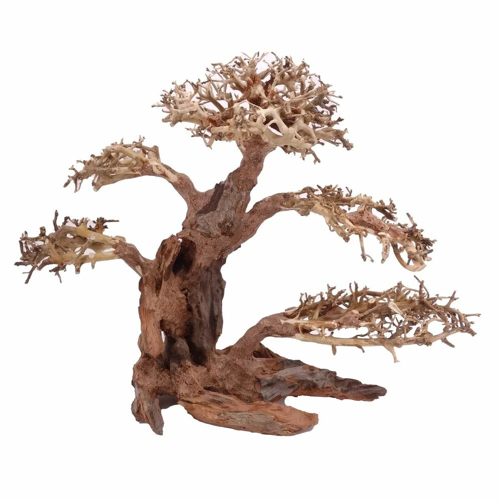 XL Bonsai Baum Nr.12012 Wurzel Holz Aquarium Deko Aquascaping 1 XL Bonsai Baum Nr.12012 Wurzel Holz Aquarium Deko Aquascaping