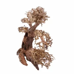 XL Bonsai Baum Nr.12012 Wurzel Holz Aquarium Deko Aquascaping 7 XL Bonsai Baum Nr.12012 Wurzel Holz Aquarium Deko Aquascaping -Haus Dekoration Verkaufsgeschäft XL Bonsai Baum Nr 12011 Wurzel Holz Aquarium Deko Aquascaping 12012 2 Kopie 26214