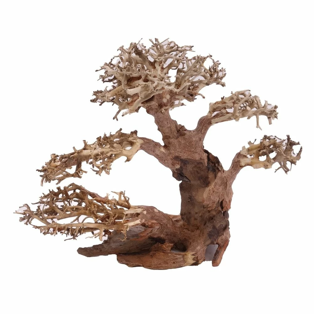 XL Bonsai Baum Nr.12012 Wurzel Holz Aquarium Deko Aquascaping 3 XL Bonsai Baum Nr.12012 Wurzel Holz Aquarium Deko Aquascaping – Bild 3