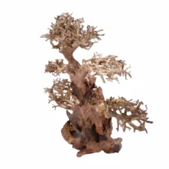 XL Bonsai Baum Nr.12012 Wurzel Holz Aquarium Deko Aquascaping 5 XL Bonsai Baum Nr.12012 Wurzel Holz Aquarium Deko Aquascaping -Haus Dekoration Verkaufsgeschäft XL Bonsai Baum Nr 12011 Wurzel Holz Aquarium Deko Aquascaping 12012 4 Kopie 26214