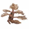 XL Bonsai Baum Nr.12013 Wurzel Holz Aquarium Deko Aquascaping