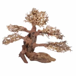 XL Bonsai Baum Nr.12013 Wurzel Holz Aquarium Deko Aquascaping