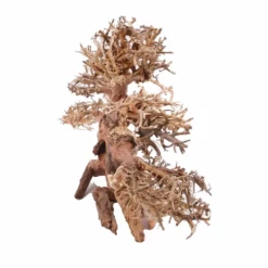 XL Bonsai Baum Nr.12013 Wurzel Holz Aquarium Deko Aquascaping -Haus Dekoration Verkaufsgeschäft XL Bonsai Baum Nr 12012 Wurzel Holz Aquarium Deko Aquascaping 12013 2 Kopie 26215