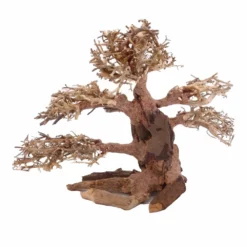 XL Bonsai Baum Nr.12013 Wurzel Holz Aquarium Deko Aquascaping -Haus Dekoration Verkaufsgeschäft XL Bonsai Baum Nr 12012 Wurzel Holz Aquarium Deko Aquascaping 12013 3 Kopie 26215