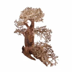 XL Bonsai Baum Nr.12014 Wurzel Holz Aquarium Deko Aquascaping 7 XL Bonsai Baum Nr.12014 Wurzel Holz Aquarium Deko Aquascaping -Haus Dekoration Verkaufsgeschäft XL Bonsai Baum Nr 12013 Wurzel Holz Aquarium Deko Aquascaping 12014 2 Kopie 26216