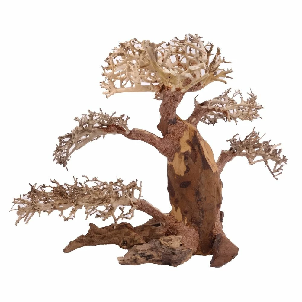 XL Bonsai Baum Nr.12014 Wurzel Holz Aquarium Deko Aquascaping 2 XL Bonsai Baum Nr.12014 Wurzel Holz Aquarium Deko Aquascaping – Bild 2