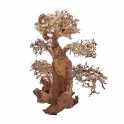 XL Bonsai Baum Nr.12014 Wurzel Holz Aquarium Deko Aquascaping 6 XL Bonsai Baum Nr.12014 Wurzel Holz Aquarium Deko Aquascaping -Haus Dekoration Verkaufsgeschäft XL Bonsai Baum Nr 12013 Wurzel Holz Aquarium Deko Aquascaping 12014 4 Kopie 26216