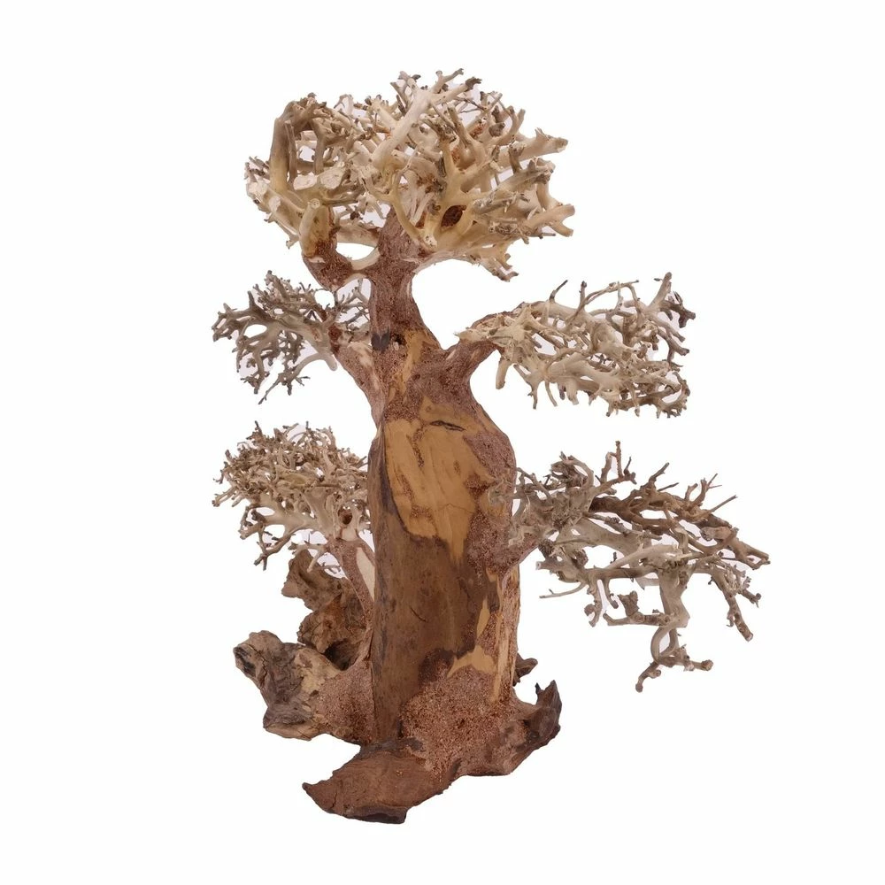 XL Bonsai Baum Nr.12014 Wurzel Holz Aquarium Deko Aquascaping 3 XL Bonsai Baum Nr.12014 Wurzel Holz Aquarium Deko Aquascaping – Bild 3
