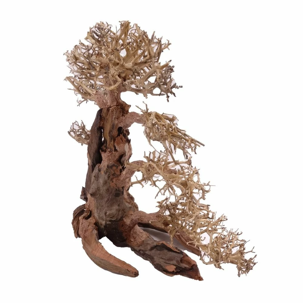 XXL Bonsai Baum Nr.13000 Wurzel Holz Aquarium Deko Aquascaping 2 XXL Bonsai Baum Nr.13000 Wurzel Holz Aquarium Deko Aquascaping – Bild 2