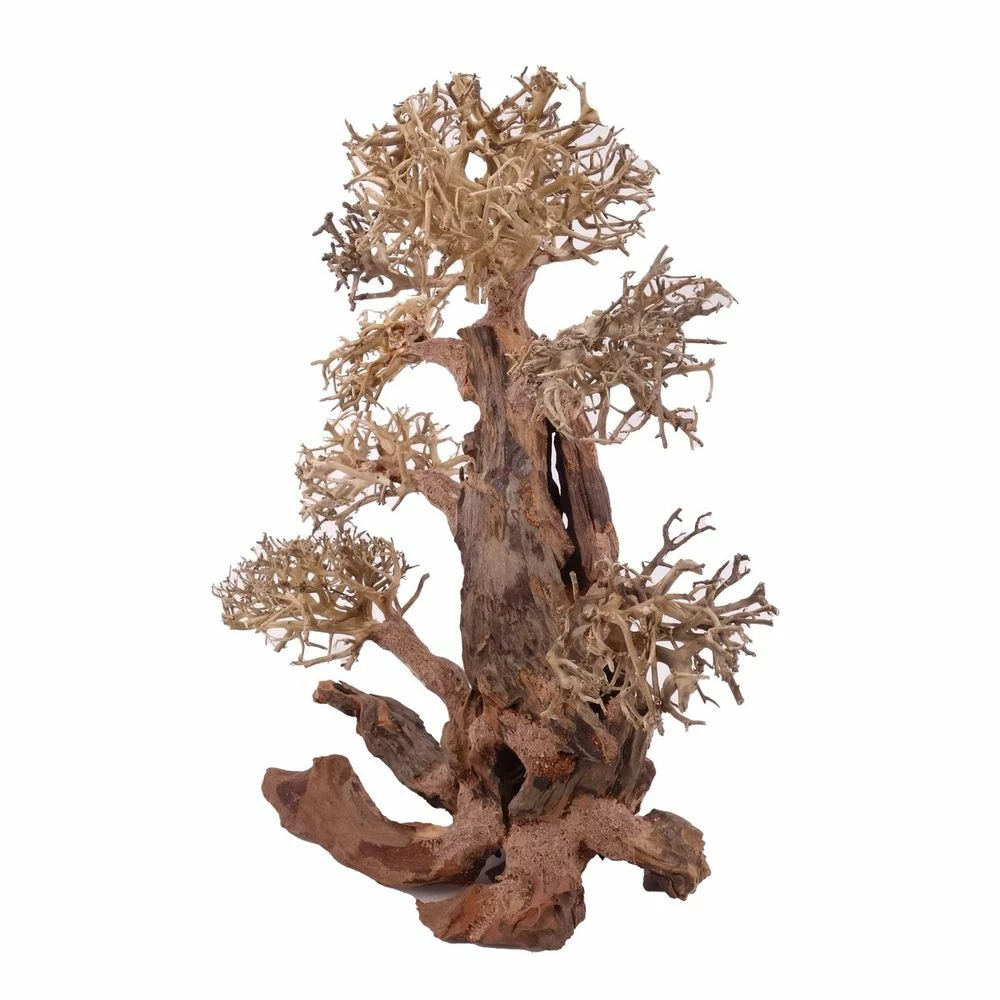 XXL Bonsai Baum Nr.13000 Wurzel Holz Aquarium Deko Aquascaping 4 XXL Bonsai Baum Nr.13000 Wurzel Holz Aquarium Deko Aquascaping – Bild 4
