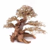XL Bonsai Baum Nr.12017 Wurzel Holz Aquarium Deko Aquascaping