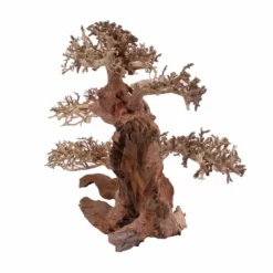 XL Bonsai Baum Nr.12020 Wurzel Holz Aquarium Deko Aquascaping -Haus Dekoration Verkaufsgeschäft XL Bonsai Baum Nr 12019 Wurzel Holz Aquarium Deko Aquascaping 12020 2 Kopie 26222
