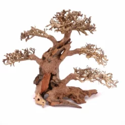 XL Bonsai Baum Nr.12020 Wurzel Holz Aquarium Deko Aquascaping -Haus Dekoration Verkaufsgeschäft XL Bonsai Baum Nr 12019 Wurzel Holz Aquarium Deko Aquascaping 12020 3 26222