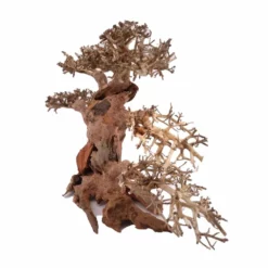 XL Bonsai Baum Nr.12020 Wurzel Holz Aquarium Deko Aquascaping -Haus Dekoration Verkaufsgeschäft XL Bonsai Baum Nr 12019 Wurzel Holz Aquarium Deko Aquascaping 12020 4 Kopie 26222