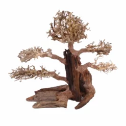 XL Bonsai Baum Nr.12023 Wurzel Holz Aquarium Deko Aquascaping -Haus Dekoration Verkaufsgeschäft XL Bonsai Baum Nr 12022 Wurzel Holz Aquarium Deko Aquascaping 12023 3 Kopie 26225
