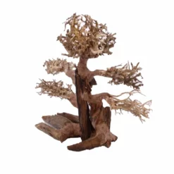 XL Bonsai Baum Nr.12023 Wurzel Holz Aquarium Deko Aquascaping -Haus Dekoration Verkaufsgeschäft XL Bonsai Baum Nr 12022 Wurzel Holz Aquarium Deko Aquascaping 12023 4 Kopie 26225