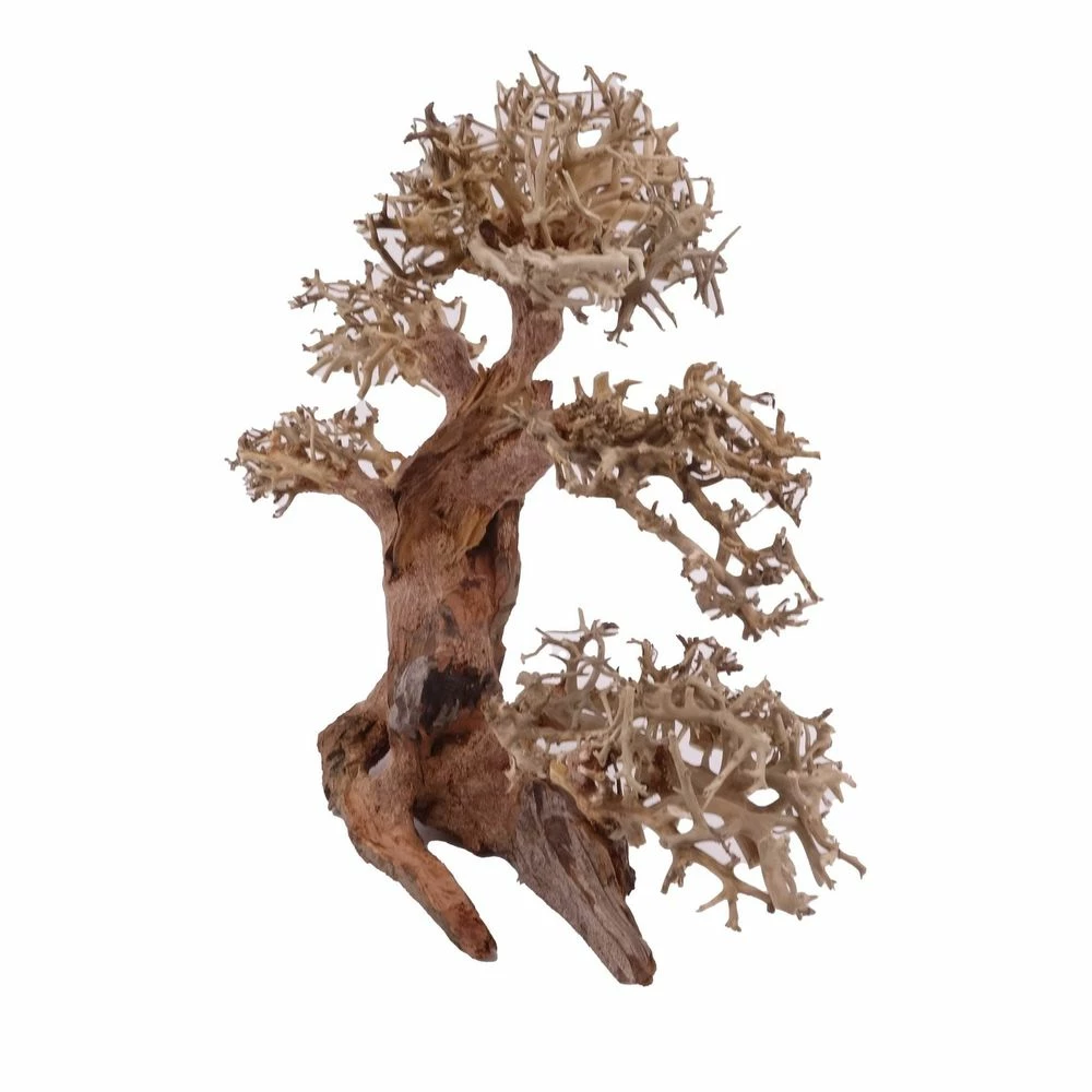XL Bonsai Baum Nr.12025 Wurzel Holz Aquarium Deko Aquascaping 2 XL Bonsai Baum Nr.12025 Wurzel Holz Aquarium Deko Aquascaping – Bild 2