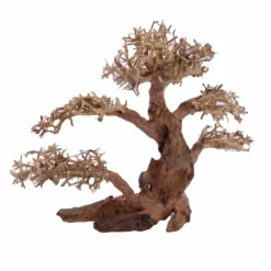XL Bonsai Baum Nr.12025 Wurzel Holz Aquarium Deko Aquascaping 6 XL Bonsai Baum Nr.12025 Wurzel Holz Aquarium Deko Aquascaping -Haus Dekoration Verkaufsgeschäft XL Bonsai Baum Nr 12024 Wurzel Holz Aquarium Deko Aquascaping 12025 3 Kopie 26227