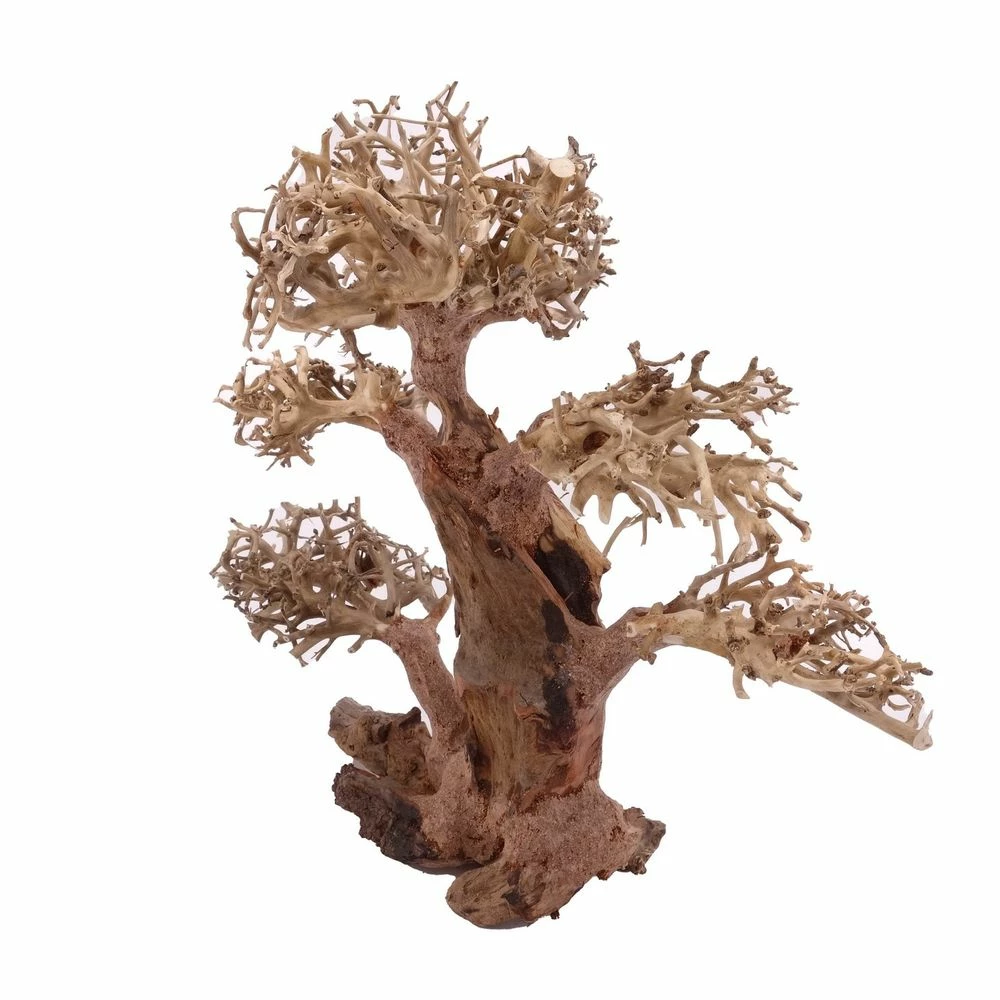 XL Bonsai Baum Nr.12025 Wurzel Holz Aquarium Deko Aquascaping 4 XL Bonsai Baum Nr.12025 Wurzel Holz Aquarium Deko Aquascaping – Bild 4