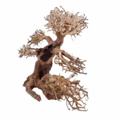XL Bonsai Baum Nr.12027 Wurzel Holz Aquarium Deko Aquascaping -Haus Dekoration Verkaufsgeschäft XL Bonsai Baum Nr 12026 Wurzel Holz Aquarium Deko Aquascaping 12027 2 Kopie 26229