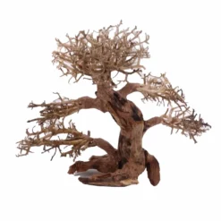 XL Bonsai Baum Nr.12027 Wurzel Holz Aquarium Deko Aquascaping -Haus Dekoration Verkaufsgeschäft XL Bonsai Baum Nr 12026 Wurzel Holz Aquarium Deko Aquascaping 12027 3 Kopie 26229