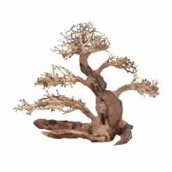 XL Bonsai Baum Nr.12037 Wurzel Holz Aquarium Deko Aquascaping -Haus Dekoration Verkaufsgeschäft XL Bonsai Baum Nr 12036 Wurzel Holz Aquarium Deko Aquascaping 12037 2 29706