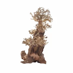 XL Bonsai Baum Nr.12037 Wurzel Holz Aquarium Deko Aquascaping -Haus Dekoration Verkaufsgeschäft XL Bonsai Baum Nr 12036 Wurzel Holz Aquarium Deko Aquascaping 12037 3 29706