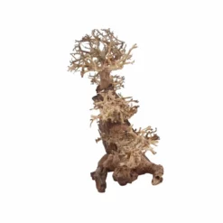 XL Bonsai Baum Nr.12037 Wurzel Holz Aquarium Deko Aquascaping -Haus Dekoration Verkaufsgeschäft XL Bonsai Baum Nr 12036 Wurzel Holz Aquarium Deko Aquascaping 12037 4 29706