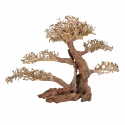 XL Bonsai Baum Nr.12038 Wurzel Holz Aquarium Deko Aquascaping -Haus Dekoration Verkaufsgeschäft XL Bonsai Baum Nr 12037 Wurzel Holz Aquarium Deko Aquascaping 12038 2 29707