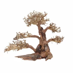 XL Bonsai Baum Nr.12051 Wurzel Holz Aquarium Deko Aquascaping -Haus Dekoration Verkaufsgeschäft XL Bonsai Baum Nr 12050 Wurzel Holz Aquarium Deko Aquascaping 12051 2 29721