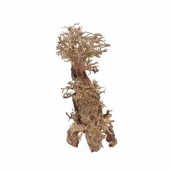 XL Bonsai Baum Nr.12051 Wurzel Holz Aquarium Deko Aquascaping -Haus Dekoration Verkaufsgeschäft XL Bonsai Baum Nr 12050 Wurzel Holz Aquarium Deko Aquascaping 12051 3 29721