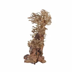 XL Bonsai Baum Nr.12051 Wurzel Holz Aquarium Deko Aquascaping -Haus Dekoration Verkaufsgeschäft XL Bonsai Baum Nr 12050 Wurzel Holz Aquarium Deko Aquascaping 12051 4 29721