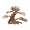 XL Bonsai Baum Nr.12058 Wurzel Holz Aquarium Deko Aquascaping