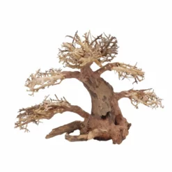 XL Bonsai Baum Nr.12058 Wurzel Holz Aquarium Deko Aquascaping -Haus Dekoration Verkaufsgeschäft XL Bonsai Baum Nr 12057 Wurzel Holz Aquarium Deko Aquascaping 12058 2 29728