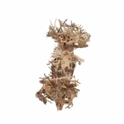 XL Bonsai Baum Nr.12058 Wurzel Holz Aquarium Deko Aquascaping -Haus Dekoration Verkaufsgeschäft XL Bonsai Baum Nr 12057 Wurzel Holz Aquarium Deko Aquascaping 12058 3 29728