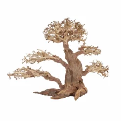 XL Bonsai Baum Nr.12059 Wurzel Holz Aquarium Deko Aquascaping -Haus Dekoration Verkaufsgeschäft XL Bonsai Baum Nr 12058 Wurzel Holz Aquarium Deko Aquascaping 12059 2 29729