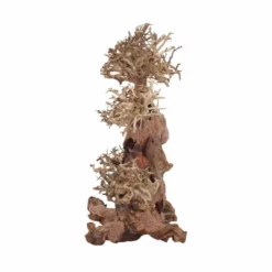XL Bonsai Baum Nr.12063 Wurzel Holz Aquarium Deko Aquascaping -Haus Dekoration Verkaufsgeschäft XL Bonsai Baum Nr 12062 Wurzel Holz Aquarium Deko Aquascaping 12063 4 29733