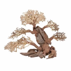 XL Bonsai Baum Nr.12069 Wurzel Holz Aquarium Deko Aquascaping 5 XL Bonsai Baum Nr.12069 Wurzel Holz Aquarium Deko Aquascaping -Haus Dekoration Verkaufsgeschäft XL Bonsai Baum Nr 12068 Wurzel Holz Aquarium Deko Aquascaping 12069 2 29739