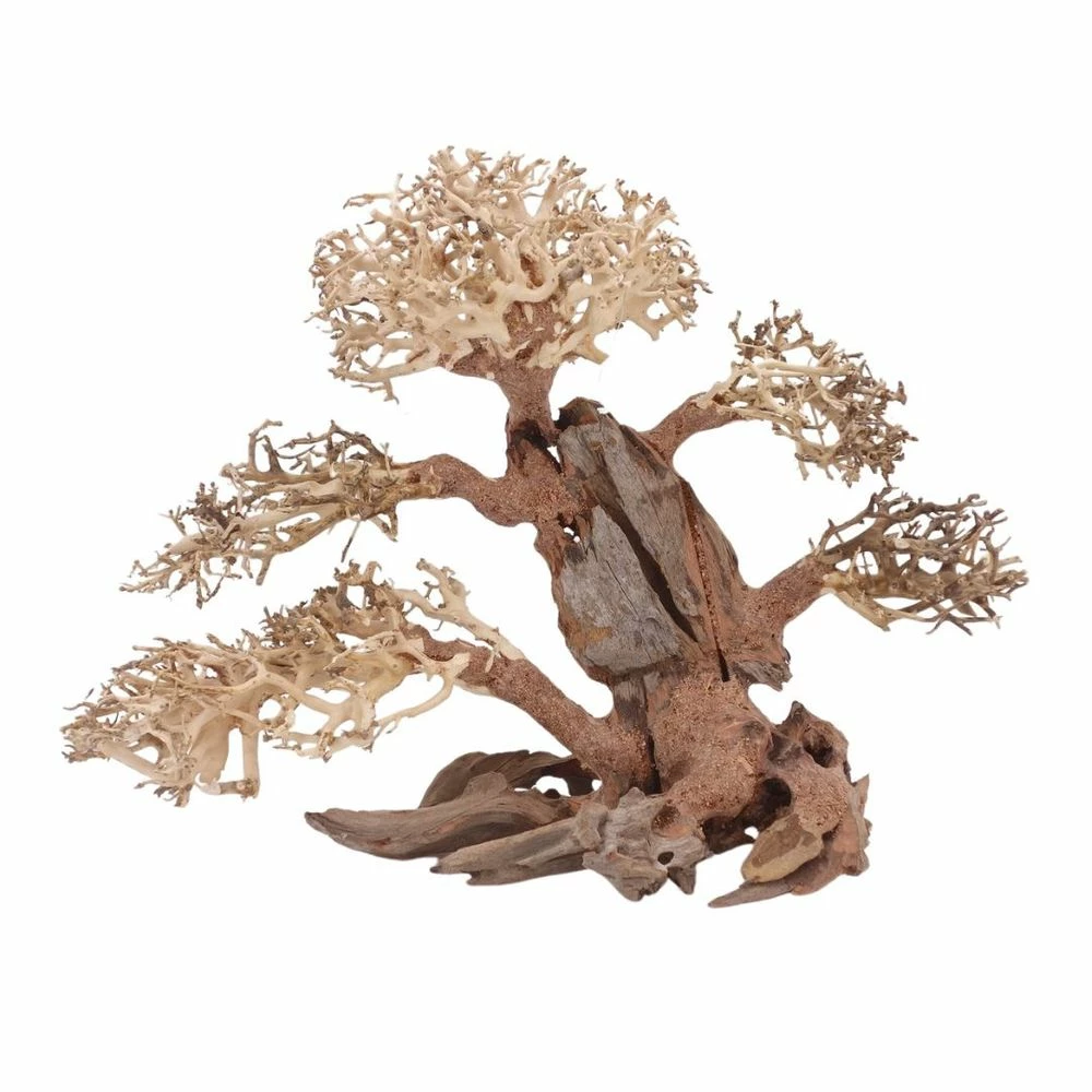 XL Bonsai Baum Nr.12069 Wurzel Holz Aquarium Deko Aquascaping 2 XL Bonsai Baum Nr.12069 Wurzel Holz Aquarium Deko Aquascaping – Bild 2