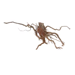 XL Drachen Wurzel Nr.7078 Holz Deko Aquascaping -Haus Dekoration Verkaufsgeschäft XL Drachen Wurzel Nr 6565 Holz Deko Aquascaping 7078 2 30753