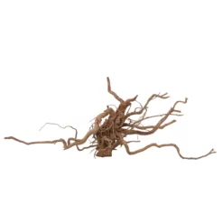 XL Drachen Wurzel Nr.7078 Holz Deko Aquascaping -Haus Dekoration Verkaufsgeschäft XL Drachen Wurzel Nr 6565 Holz Deko Aquascaping 7078 3 30753