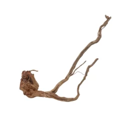 XL Drachen Wurzel Nr.7083 Holz Deko Aquascaping