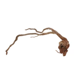 XL Drachen Wurzel Nr.7083 Holz Deko Aquascaping -Haus Dekoration Verkaufsgeschäft XL Drachen Wurzel Nr 7082 Holz Deko Aquascaping 7083 3 30759