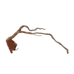 XL Drachen Wurzel Nr.7083 Holz Deko Aquascaping -Haus Dekoration Verkaufsgeschäft XL Drachen Wurzel Nr 7082 Holz Deko Aquascaping 7083 4 30759