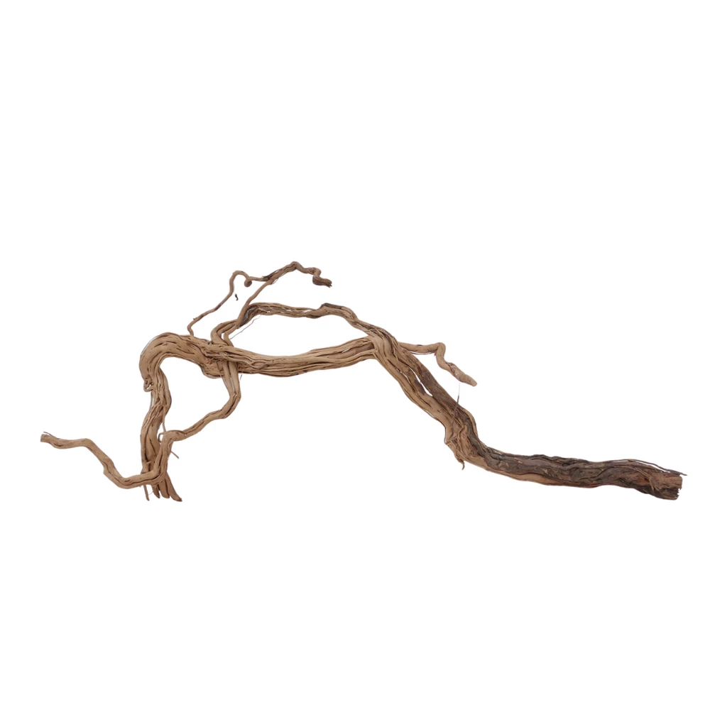 XL Drachen Wurzel Nr.7086 Holz Deko Aquascaping 2 XL Drachen Wurzel Nr.7086 Holz Deko Aquascaping – Bild 2