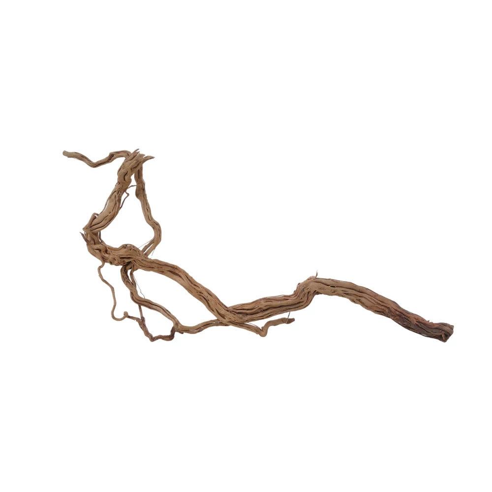 XL Drachen Wurzel Nr.7086 Holz Deko Aquascaping 3 XL Drachen Wurzel Nr.7086 Holz Deko Aquascaping – Bild 3